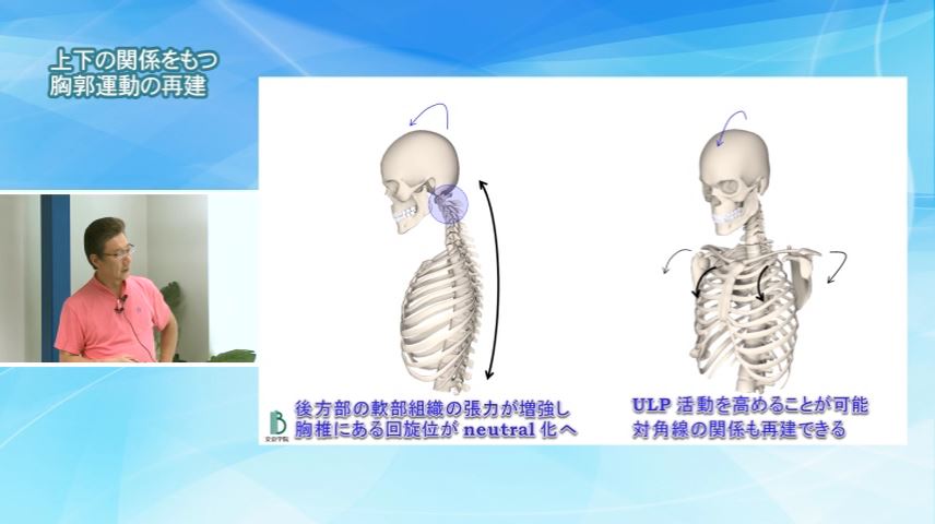上下の関係をもつ胸郭運動の再建（胸郭と頚椎との運動連鎖）