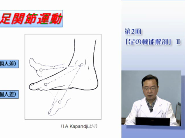 第２回　足の機能解剖 Ⅱ ～矢状面における距骨の前後移動～