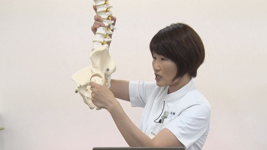 骨盤底筋群と色々な筋